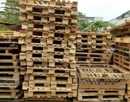 Cung cấp dịch vụ đóng pallet gỗ tại Bình Dương-Đồng Nai-