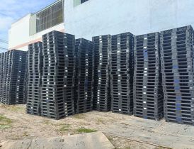 Pallet Nhựa Cần Thanh Tý